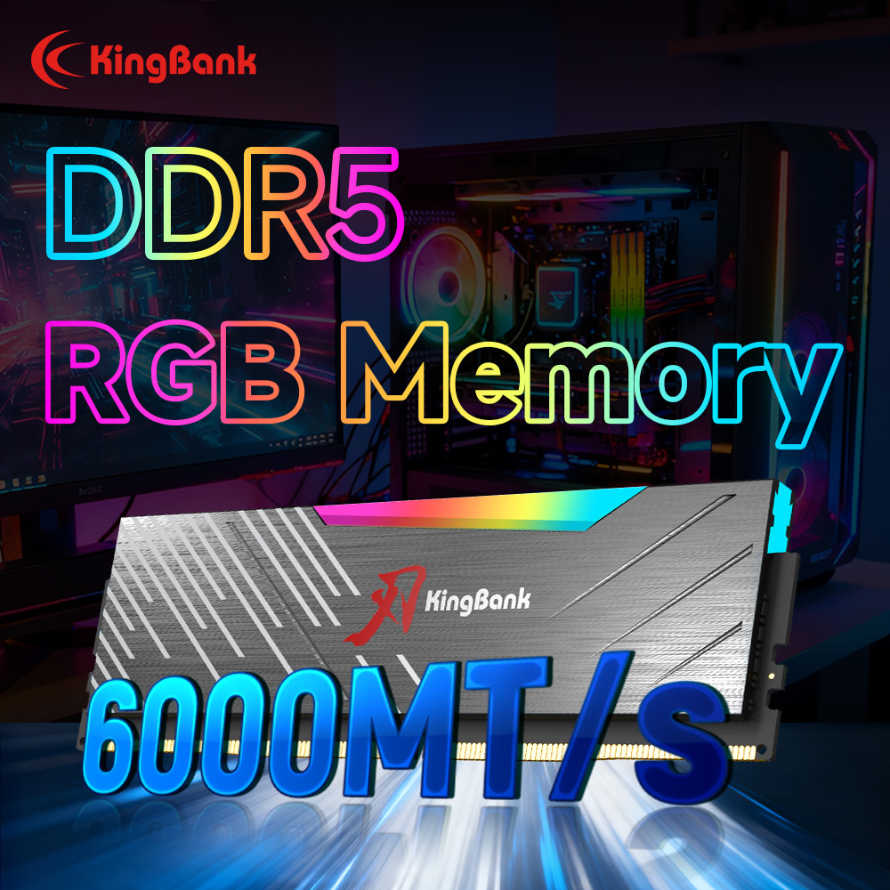 KingBank KRRB DDR5 RGB SoarBla - Ddr5 8Gb のレビューと価格