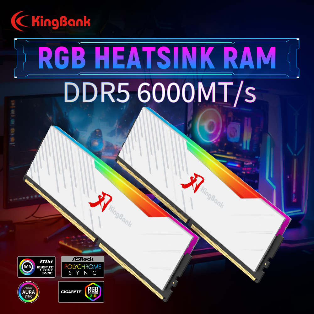 KINGBANK KRRW DDR5 RGB RAM 16G - Ddr5 16Gb 6000Mhz のレビューと価格