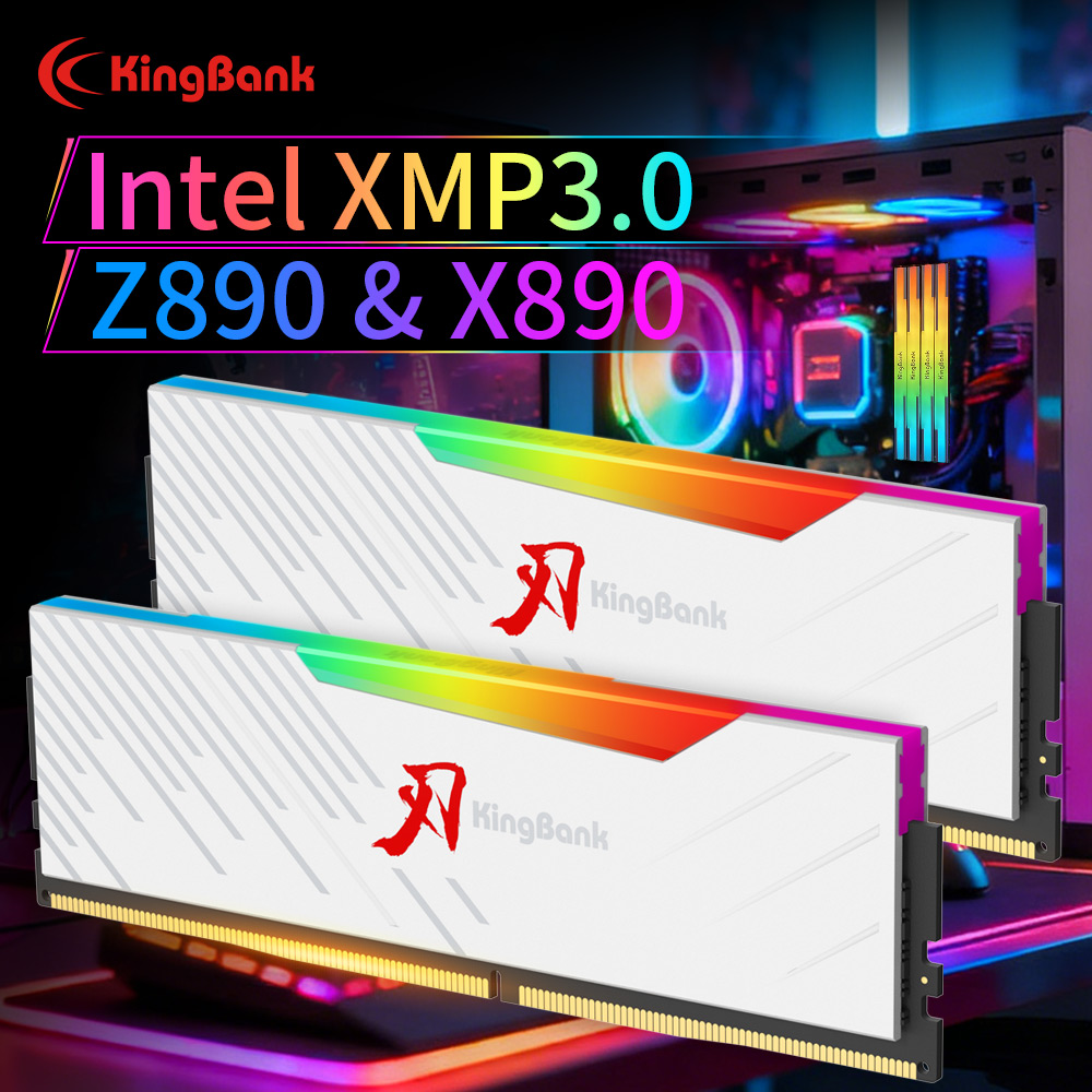 KINGBANK KRRW DDR5 RAM 48GB (2 - Ddr5 4800Mhz のレビューと価格